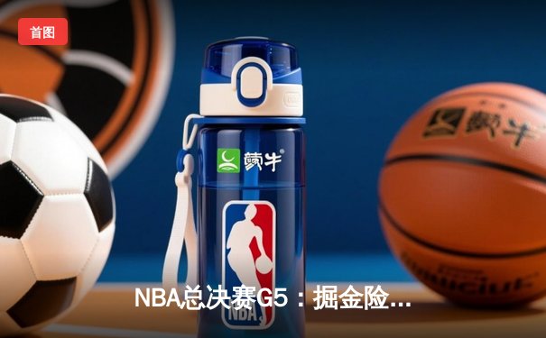 NBA总决赛G5：掘金险胜热火总比分3-2 约基奇28+16统治内线