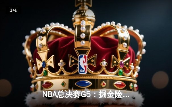 NBA总决赛G5：掘金险胜热火总比分3-2 约基奇28+16统治内线 - 3